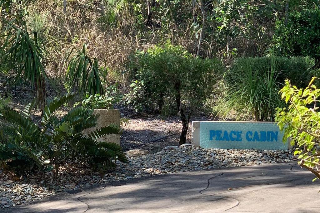 Beachfront Peace Cabin Oak Beach ภายนอก รูปภาพ